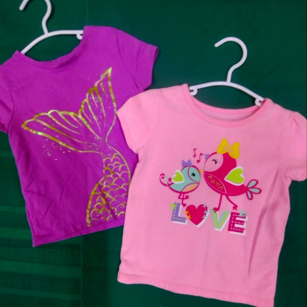 2T Girls Shirt Bundle